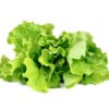 recipes of lettuce