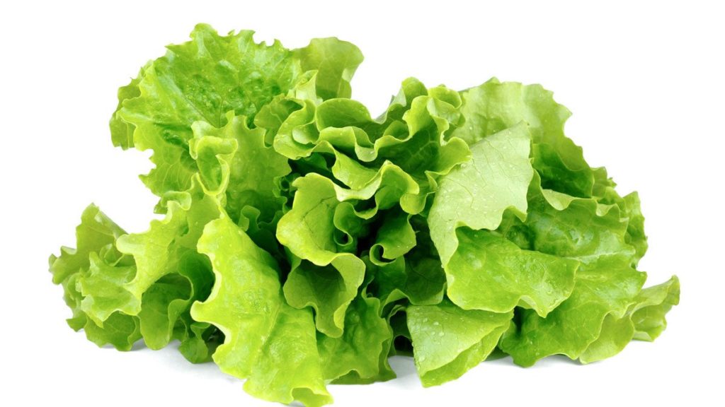 recipes of lettuce