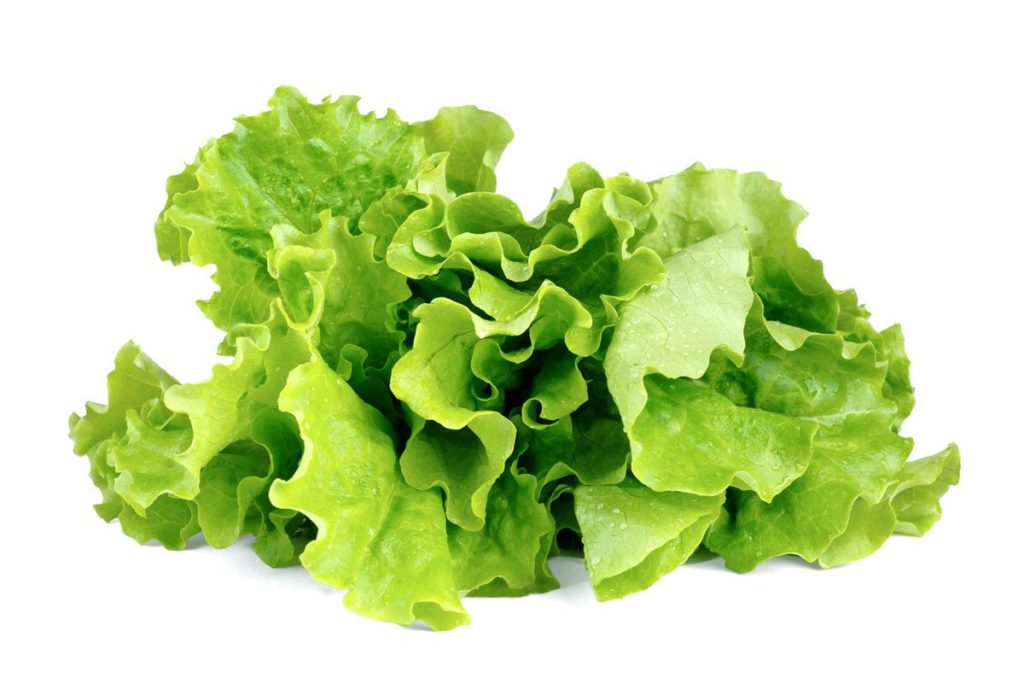 recipes of lettuce