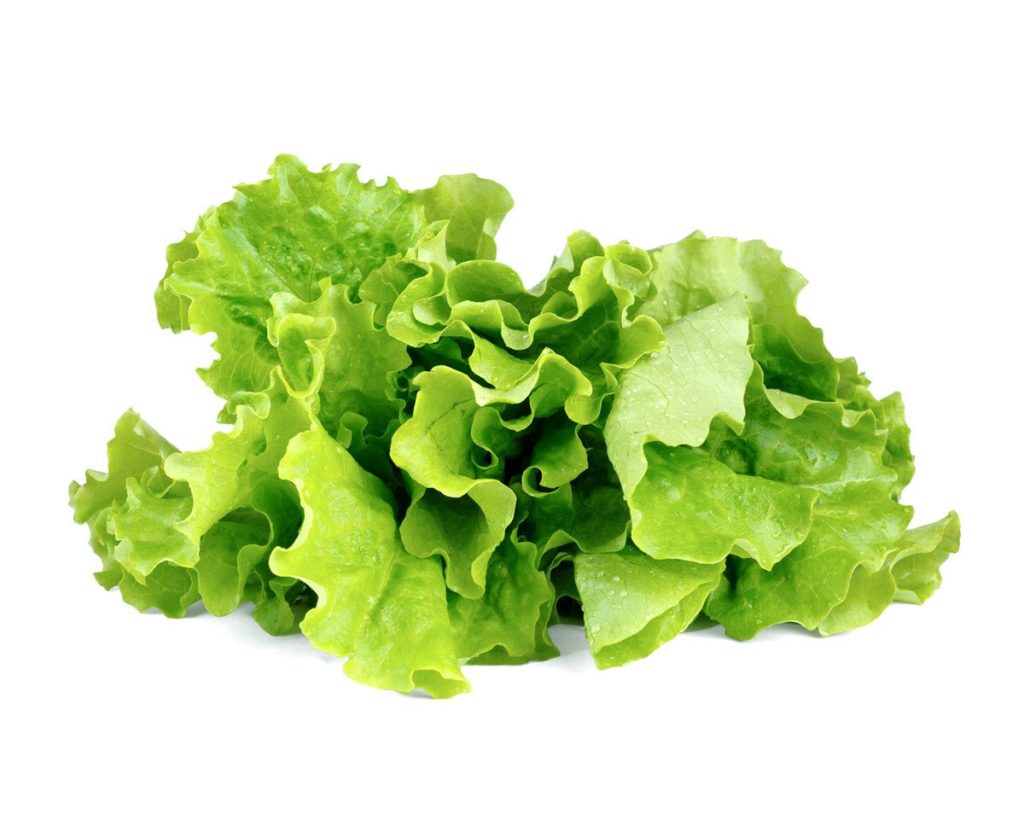 recipes of lettuce