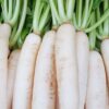 recipes of radish