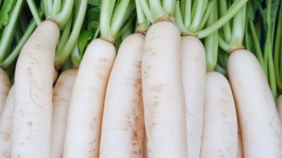 recipes of radish