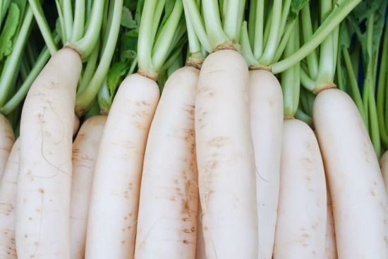 recipes of radish