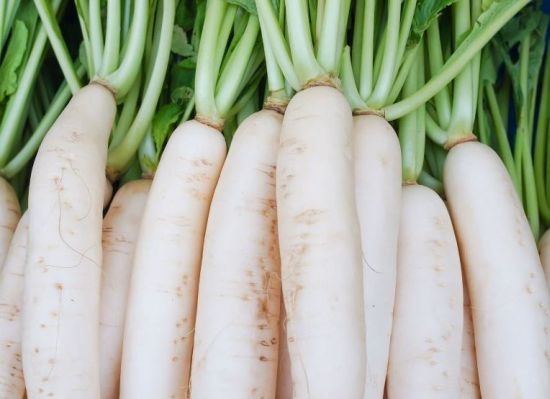 recipes of radish