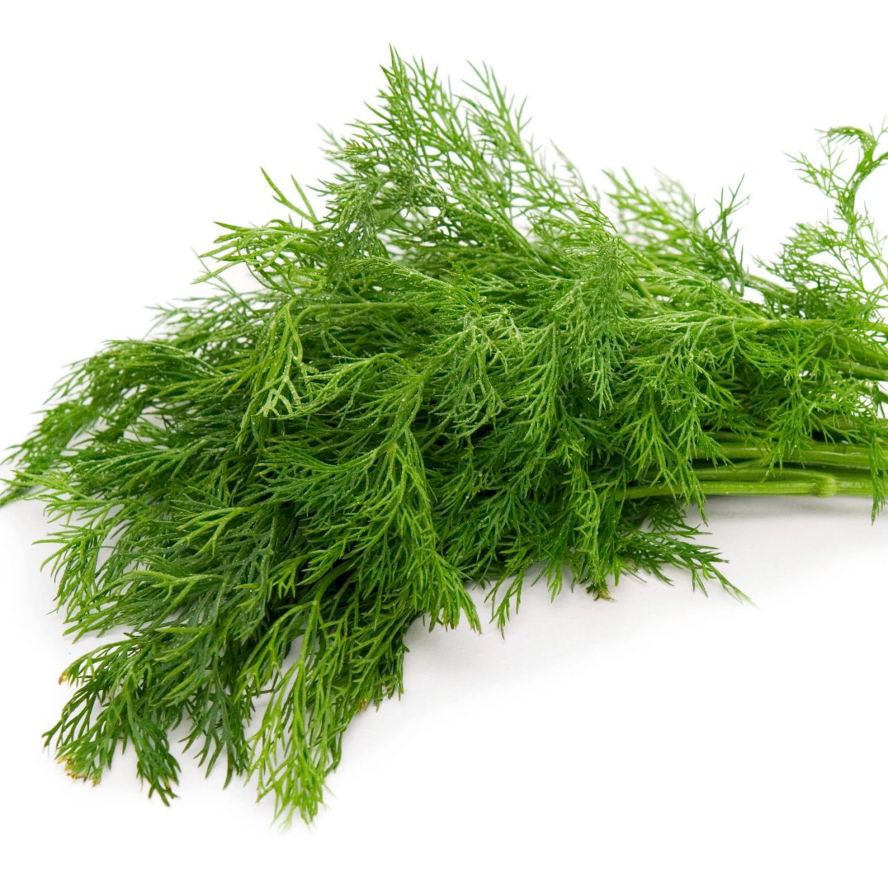 recipes of dill leaves