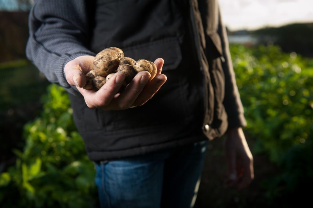 millennials and farming