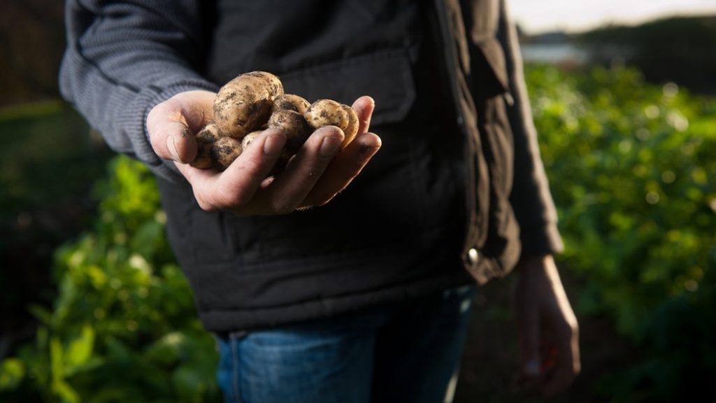 millennials and farming