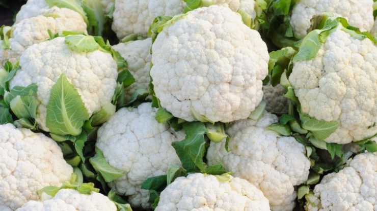 recipes of cauliflower