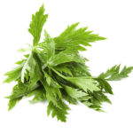 recipes of celery leaves