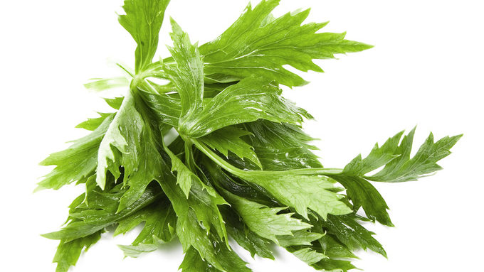 recipes of celery leaves