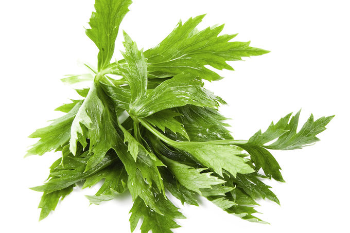 recipes of celery leaves