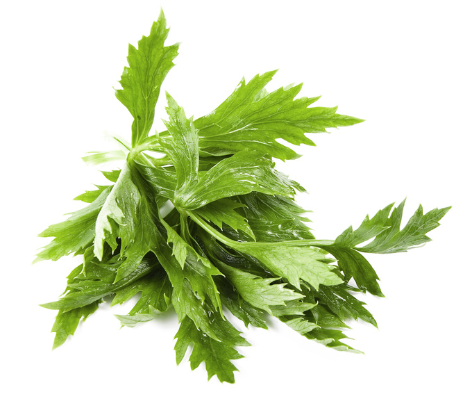 recipes of celery leaves