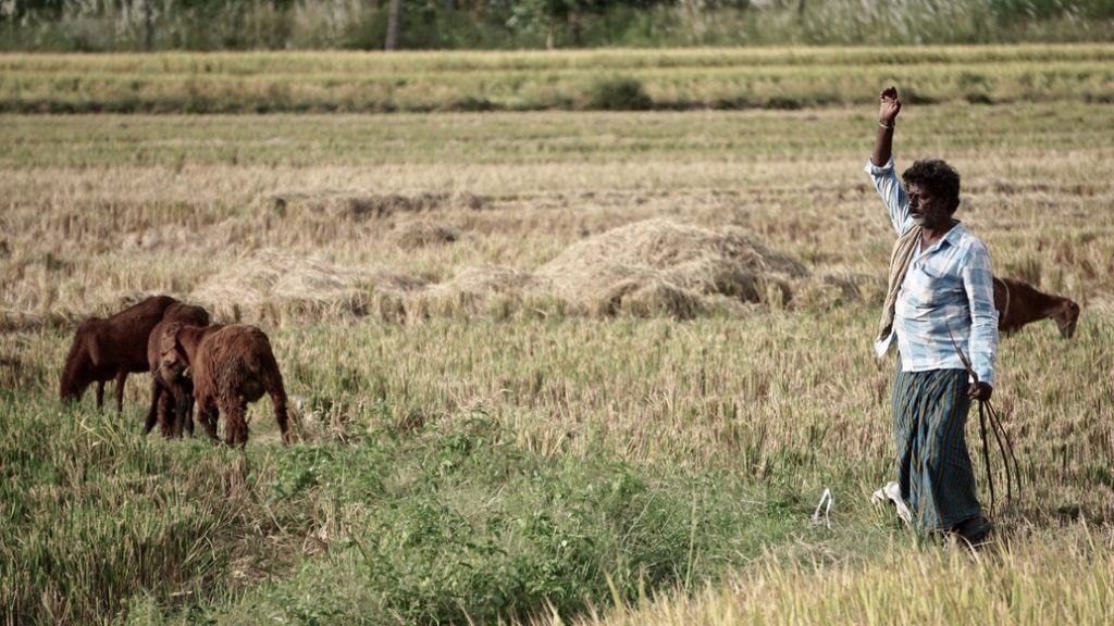 independence for farmers