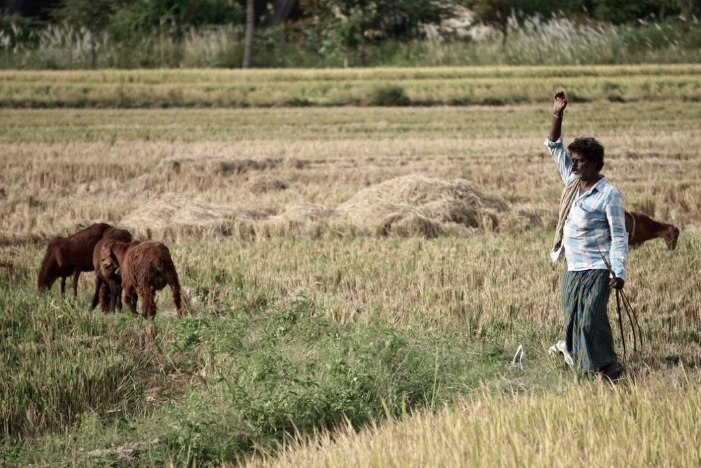 independence for farmers