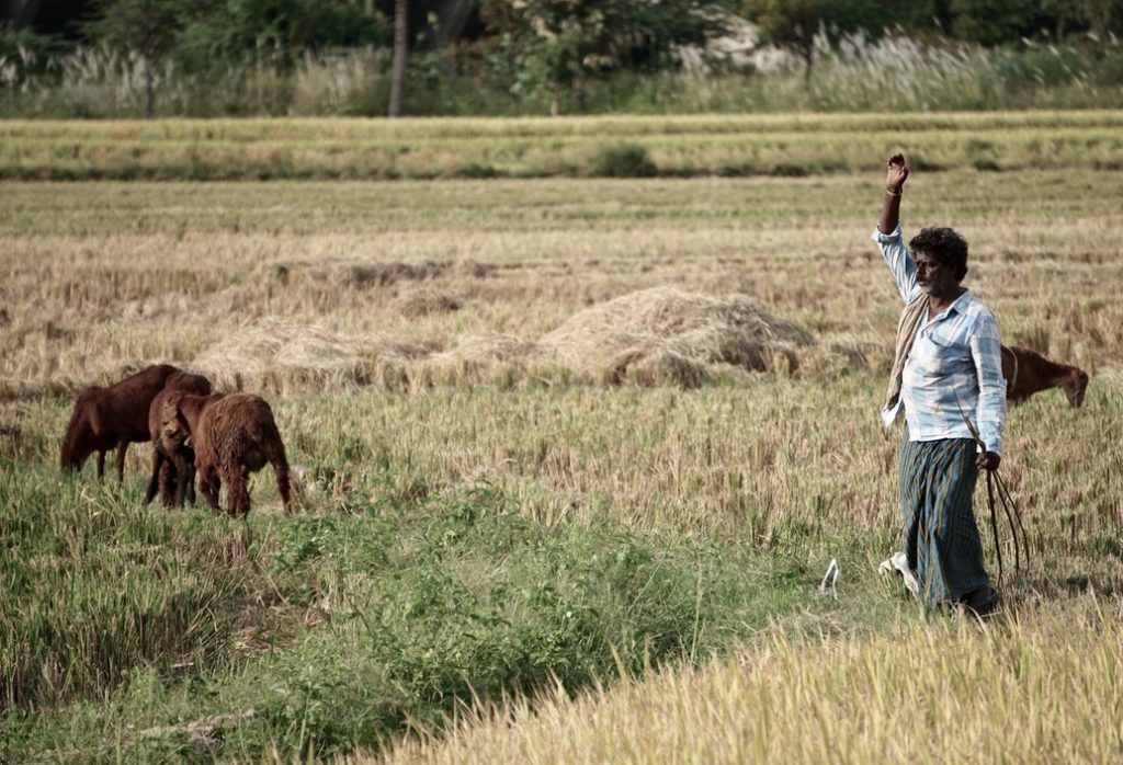 independence for farmers