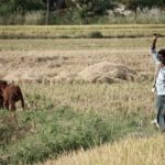 independence for farmers