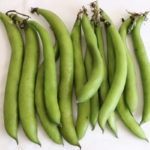 recipes of broad beans
