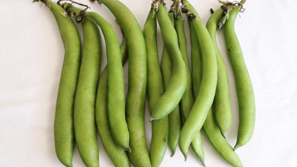 recipes of broad beans