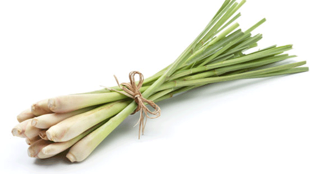 things that you can do with lemongrass at home