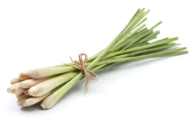 things that you can do with lemongrass at home