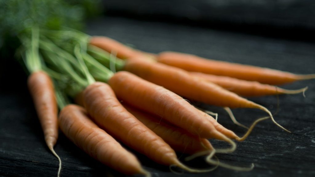 recipes of carrots