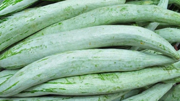 recipes of snake gourd