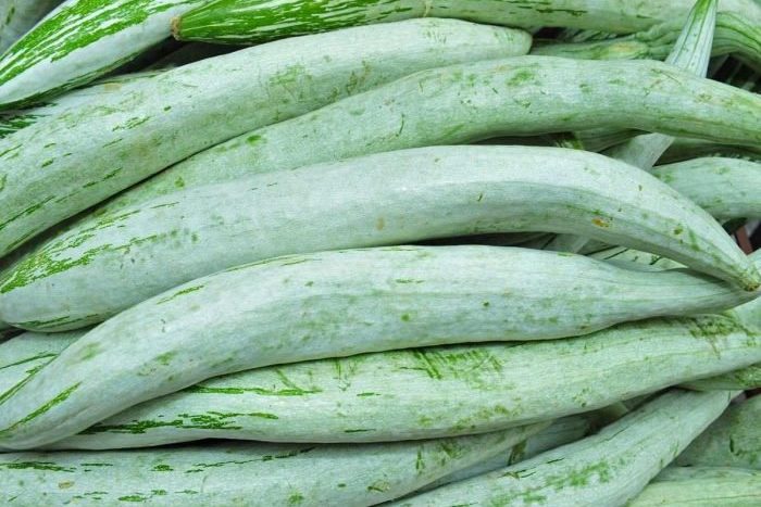 recipes of snake gourd