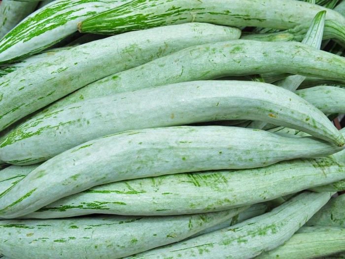 recipes of snake gourd