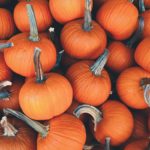 recipes of pumpkin