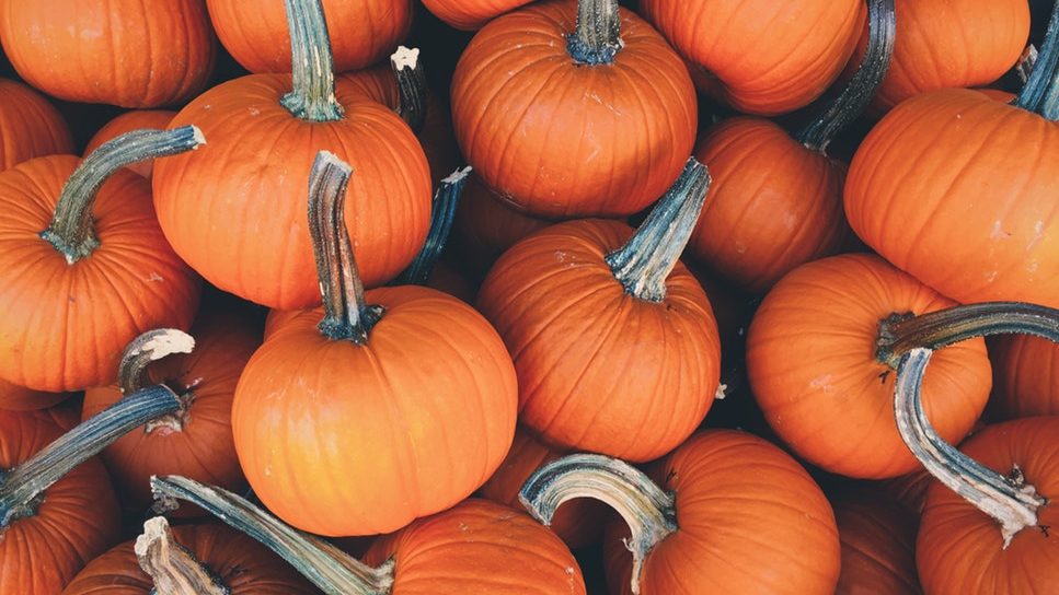 recipes of pumpkin