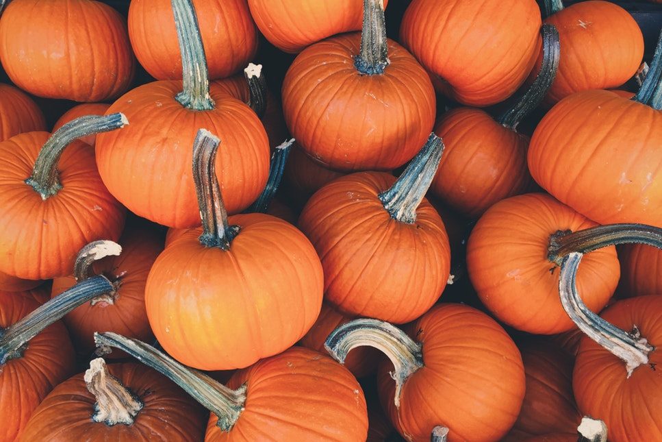 recipes of pumpkin