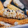 recipes of corn