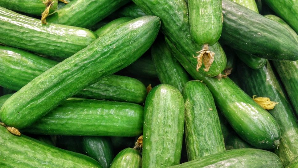 recipes of cucumber