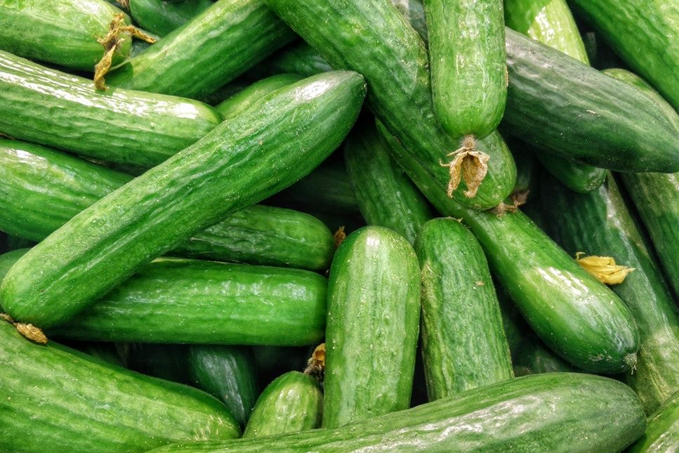 recipes of cucumber