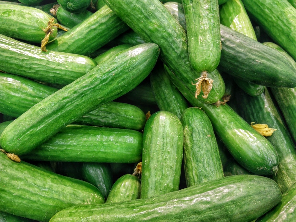 recipes of cucumber