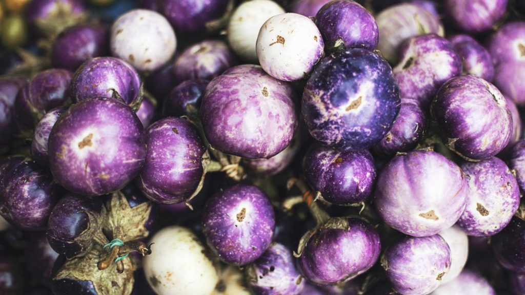 recipes of brinjal