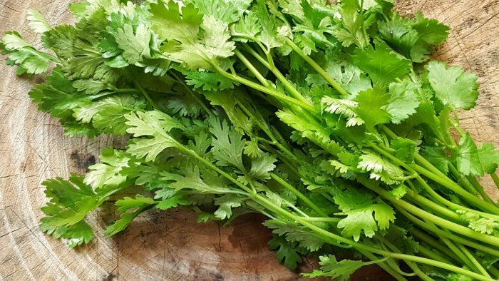 home remedies of coriander