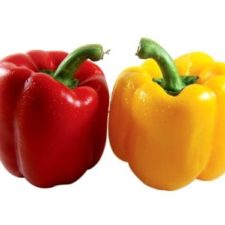 Bell Peppers