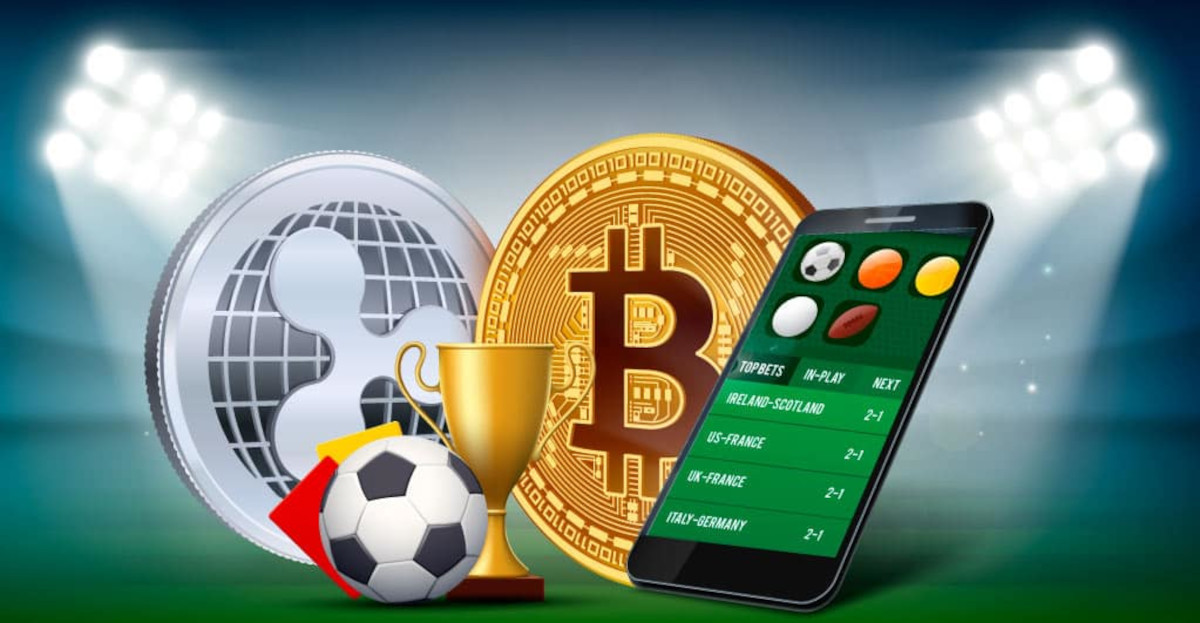 Discover the Best Top Crypto Casinos With Leaderboard Payouts Discover the Best Top Crypto Casinos With Leaderboard Payouts
