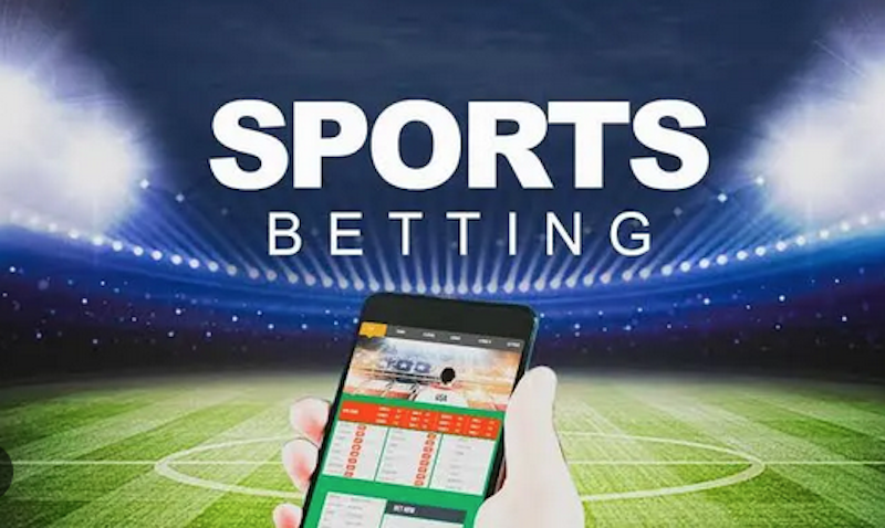 Découvrez Betwinner  Une expérience de paris en ligne inégalée